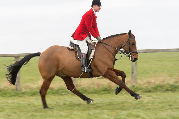 Race 2 - PPORA Novice riders  (67 of 186).jpg