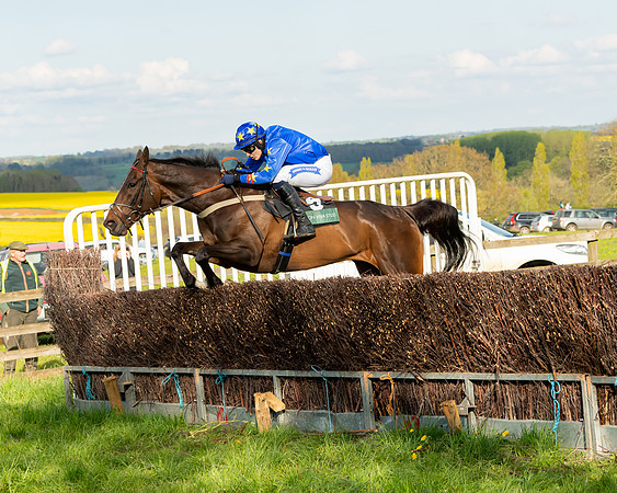 Race 7 - Maiden  (63 of 113)