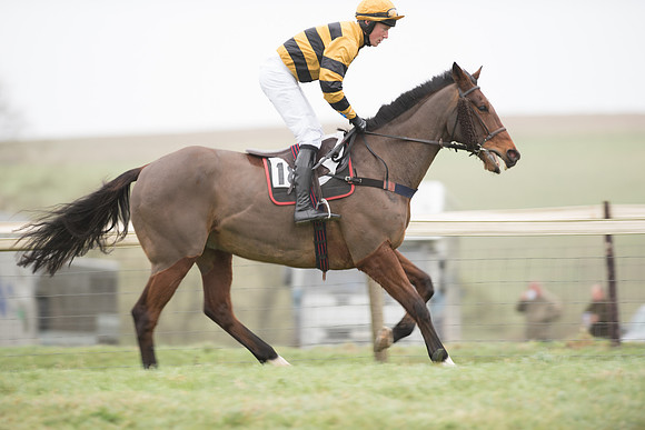 Race 1 - Novice Riders (10 of 86).jpg