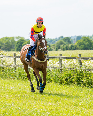 Race 2 - PPORA Novice Riders (129 of 444)