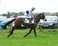 Race 5 - Open Maiden (8 of 65).jpg