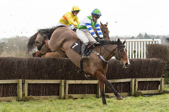 Race 5 - 2M 4F Conditions (38 of 96).jpg