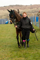 Race 1 - Div 1 - Young Horse Maiden (11 of 90).jpg