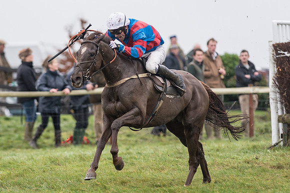 Race 5 - The Intermediate (48 of 59).jpg