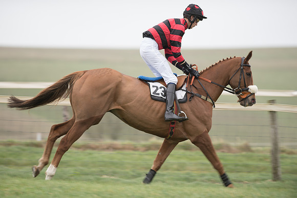 Race 1 - Novice Riders (3 of 86).jpg