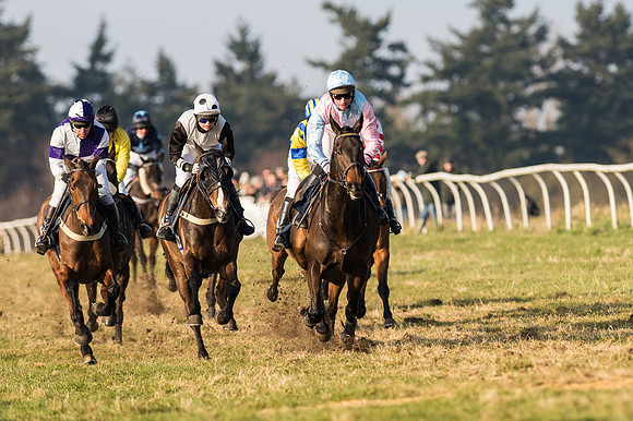 Race 5 - Restricted Race (35 of 64).jpg