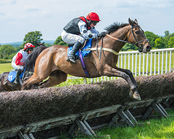 Race 1 - The Little Red owner Trainer conditions (233 of 345)
