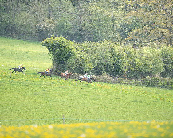 Ponies and Side saddle (36 of 69)