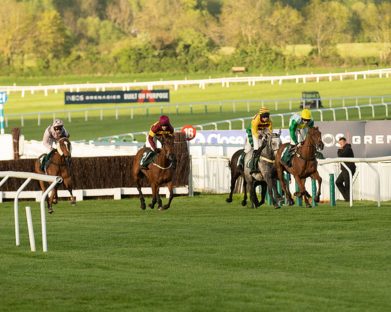 Race 5 - Mares Open  (94 of 329)