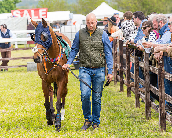 Race 2 - Owner-Trainer Conditions  (5 of 208)