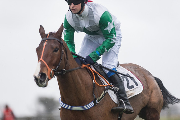 Race 6 - Open Maiden DIvision 1  (75 of 168).jpg