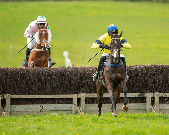 Race 5 - Open Maiden  (65 of 89)