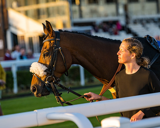 Race 7 - ITM NH Flat Race (44 of 197)