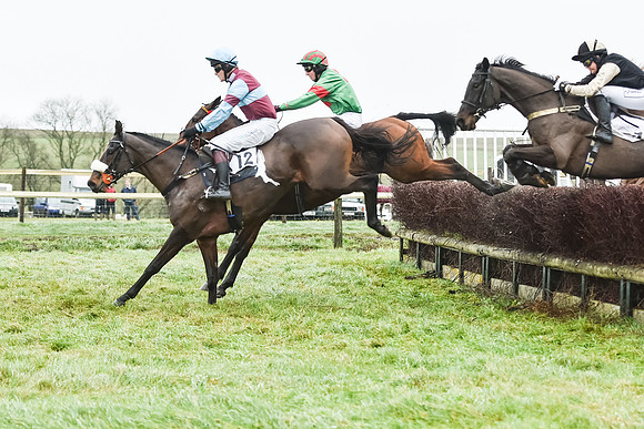 Race 5 - The Intermediate (36 of 59).jpg