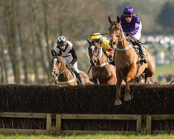 Race 3 - Kent Grand National (6 of 76)-2.jpg