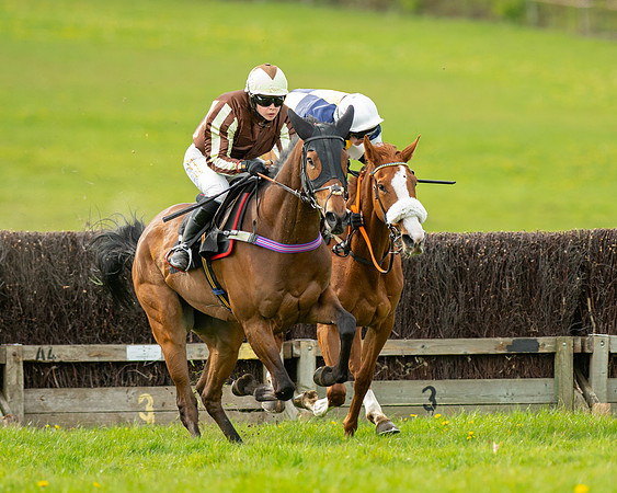 Race 5 - Open Maiden  (40 of 89)
