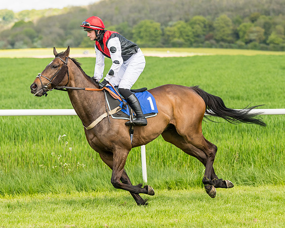 Race 2 - The Restricted Race  (42 of 122)