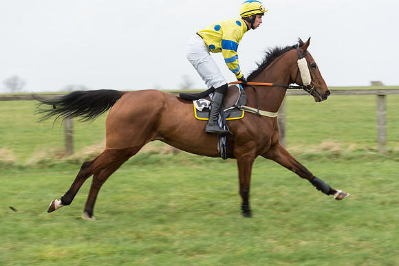 Race 7 - Open Maiden (55 of 131).jpg