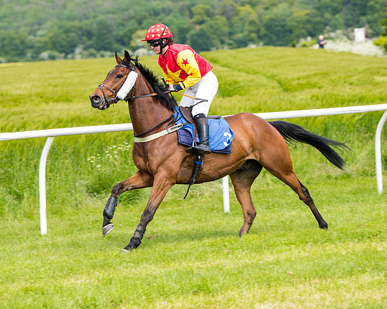 Race 1 - The Little Red owner Trainer conditions (96 of 345)