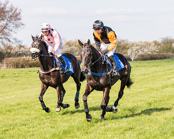 Race 5 - The Waverton Investment Management Ltd Restricted Race farmers and subscribers Race  (27 of 161)