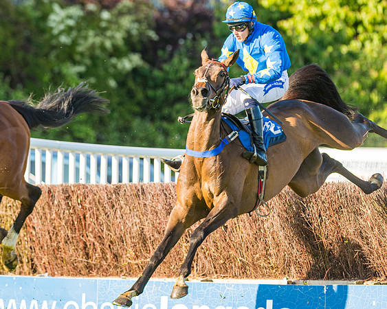 Race 3 - John Corbet Cup (75 of 127)