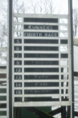 Race 4 - The Mens Open (1 of 82).jpg