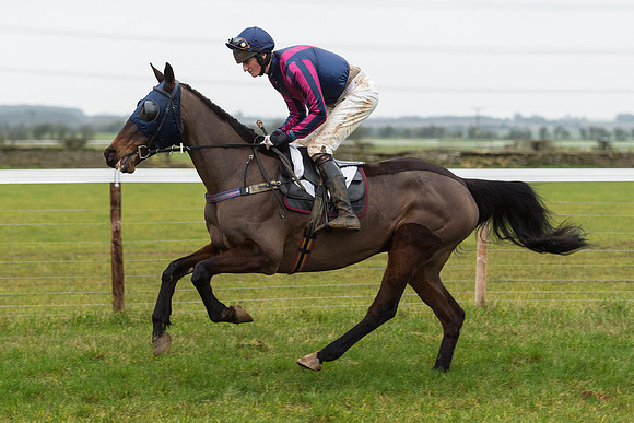 Race 6 - Open Maiden Race Div 2  (16 of 118).jpg