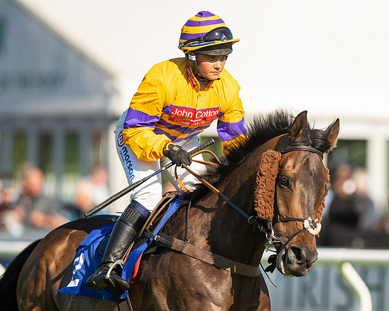 Race 1 - JFF Open Hunter Steeple Chase 2m  (3 of 202)