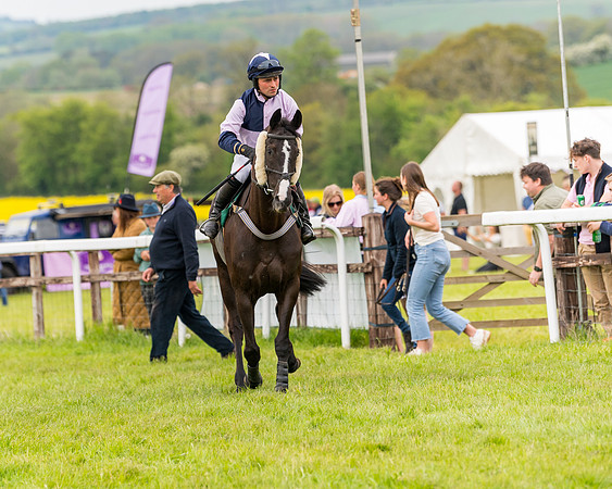 Race 7 - Veteran Horse conditions (91 of 244)