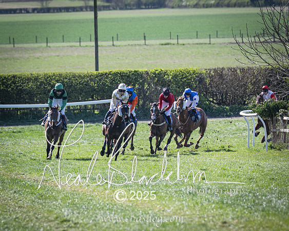 Race 4 - Mixed Open (91 of 168)