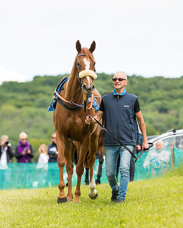 Race 1 - Owner Trainer Conditions  (13 of 133)