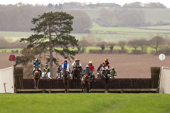 Race 2 - Young Horse Maiden (41 of 110).jpg