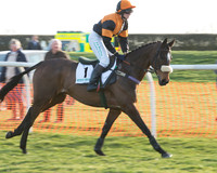 Race 7 - Novice Riders Race (16 of 145).jpg