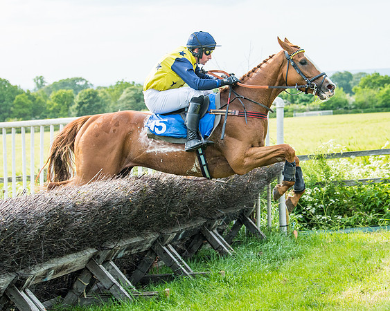 Race 6 - Open Maiden (249 of 346)
