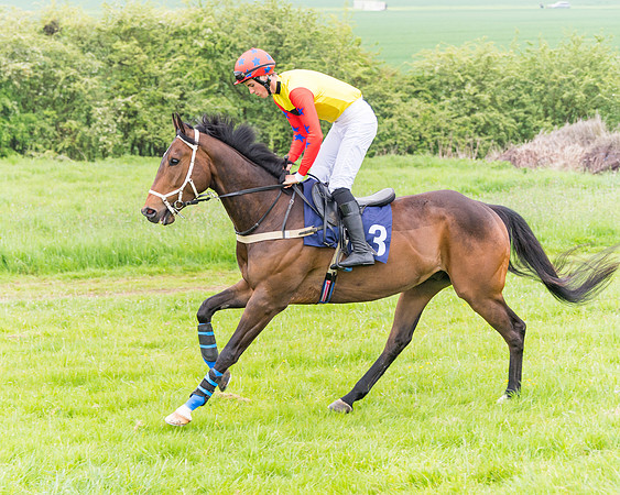 Race 6 - Maiden (25 of 129)