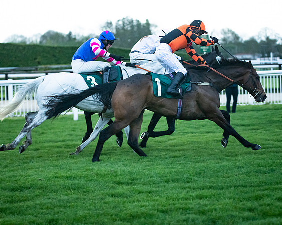 Race 7 - Gloucester Hussars Open  (73 of 154)
