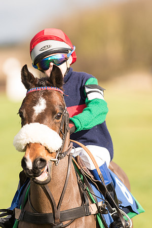 Pony Race 1  (12 of 34).jpg
