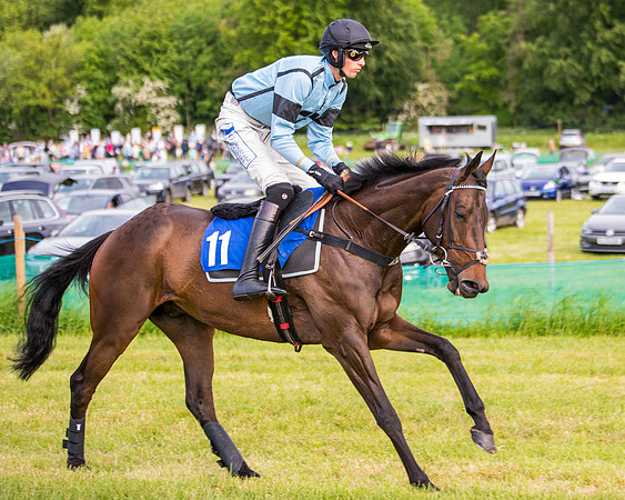 Race 6 - Open Maiden (130 of 346)