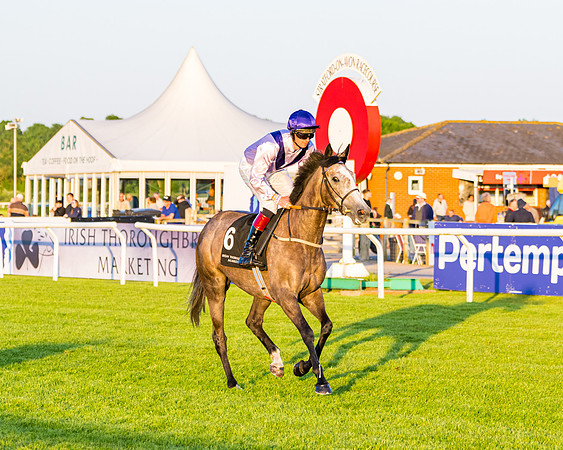 Race 7 - ITM NH Flat Race (56 of 197)