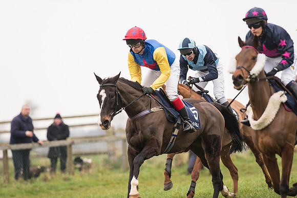Race 5 - The Restricted Race (46 of 86).jpg