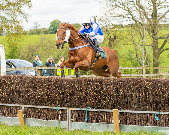 Race 2 - ROR and veteran Horse Conditions race (33 of 77)