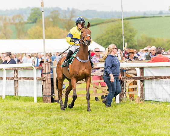 Race 2 - Owner-Trainer Conditions  (59 of 208)