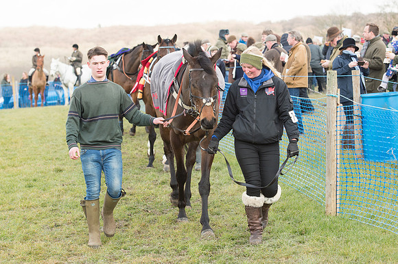 Race 1 - Div 2 - Young Horse Maiden (4 of 122).jpg