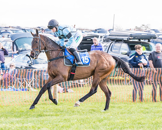 Race 4 - The Warehouse Reit Mixed Open Race  (12 of 124)
