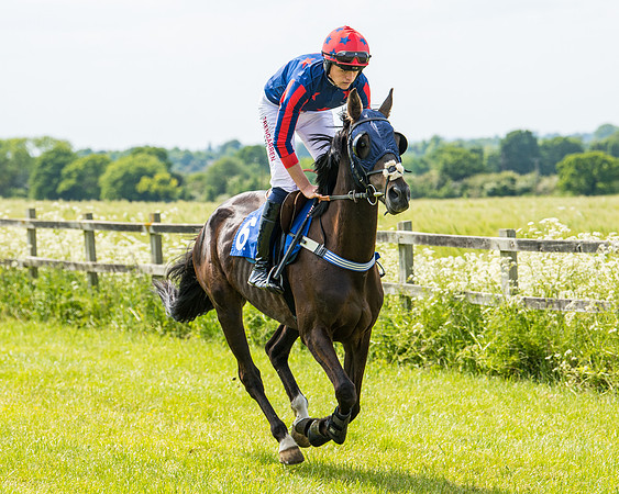 Race 2 - PPORA Novice Riders (114 of 444)