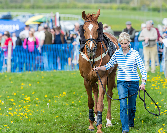 Race 2 - Veteran Horse  (5 of 82)