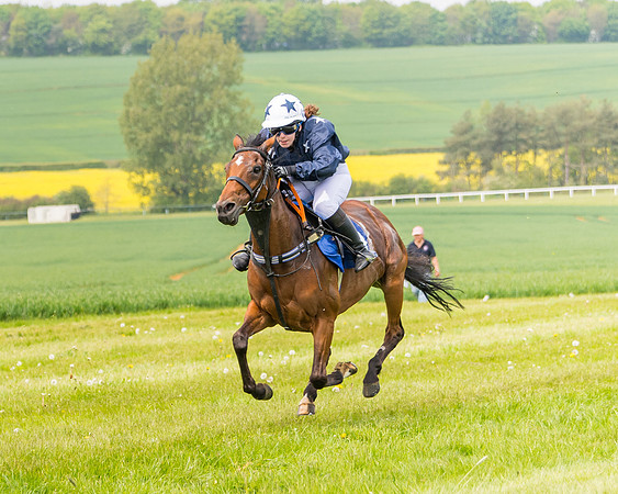 Pony Race 2 - 148cm (105 of 142)