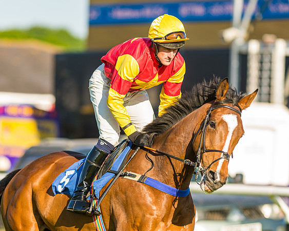 Race 3 - John Corbet Cup (37 of 127)