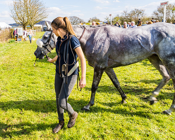 Race 4 - The Warehouse Reit Mixed Open Race  (104 of 124)