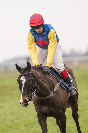 Race 5 - The Restricted Race (85 of 86).jpg